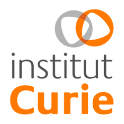 Institut Curie